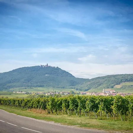 **** Le Meyerhof Rorschwihr