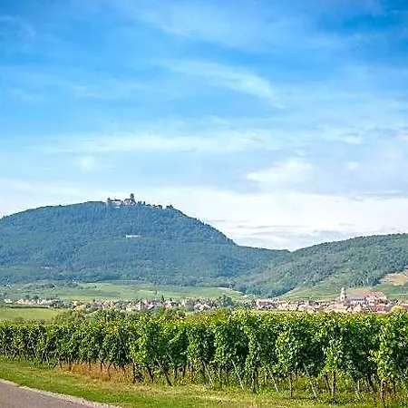 **** Le Meyerhof Apartamento
