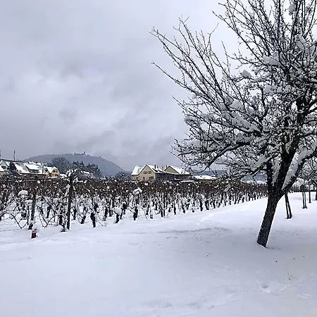 **** Le Meyerhof Apartamento *