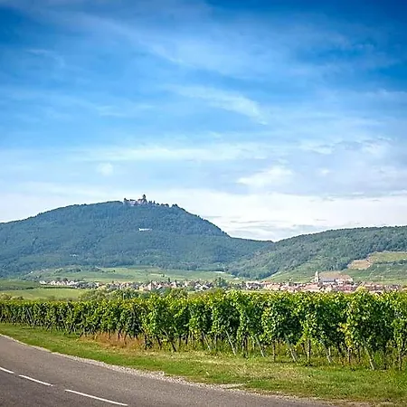 **** Le Meyerhof Apartamento *
